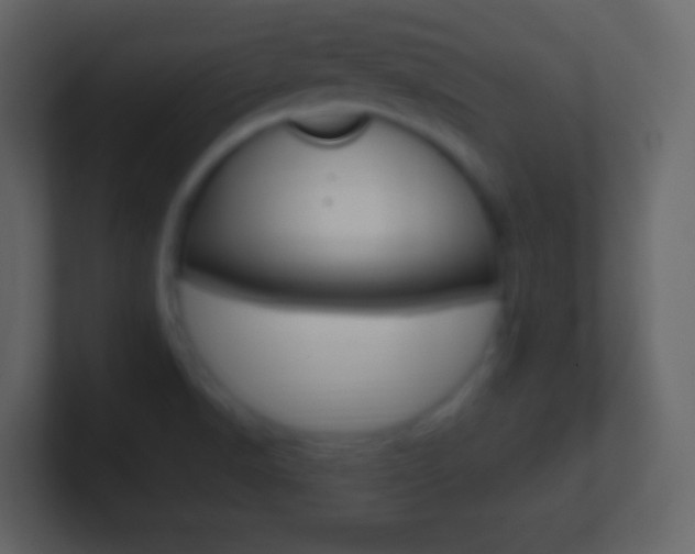 X0000101461518200807071121