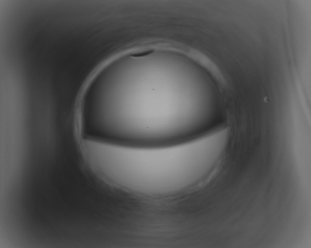 X0000101461520200807071121