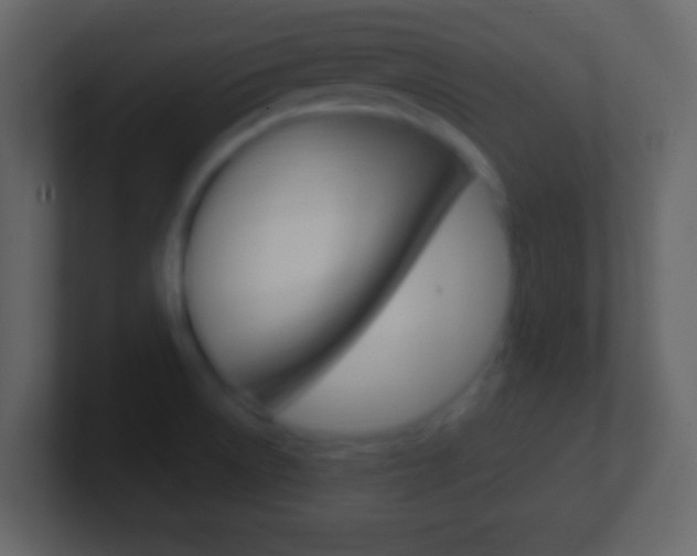 X0000101461522200807071121