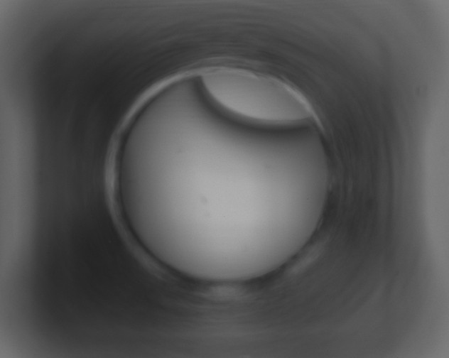 X0000101461523200807071121