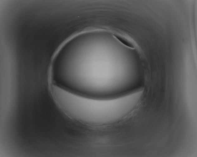 X0000101461524200807071121