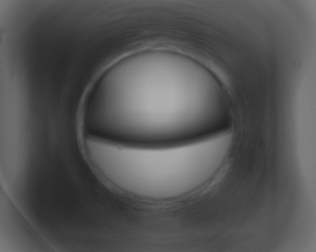 X0000101461525200807071121