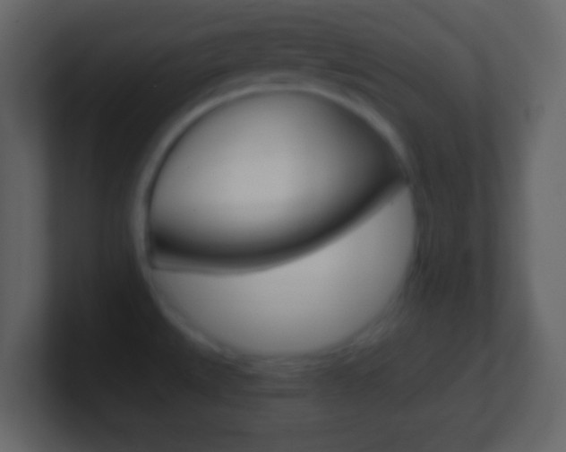 X0000101461527200807071121