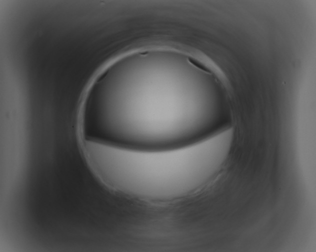 X0000101461528200807071121
