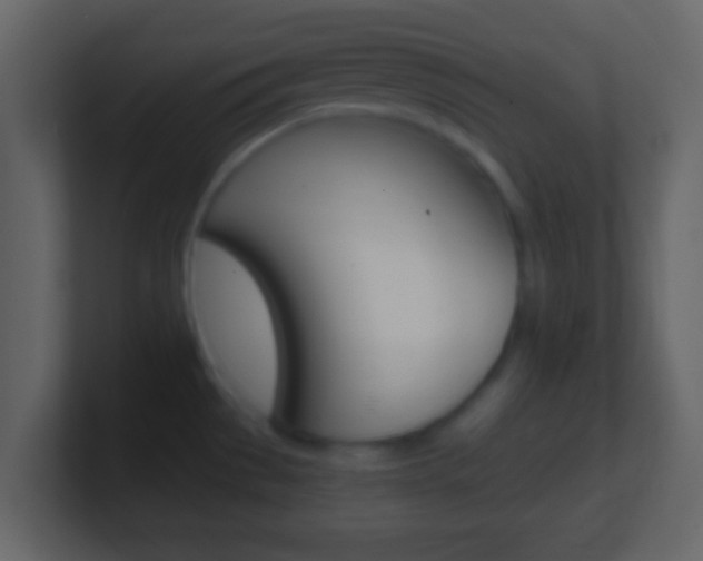 X0000101461529200807071121