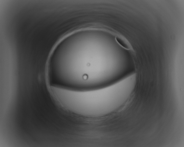 X0000101461530200807071121