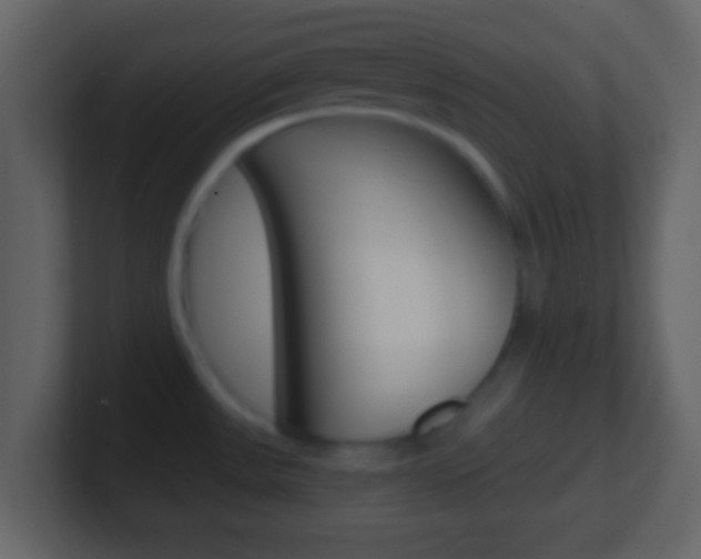 X0000101461531200807071121