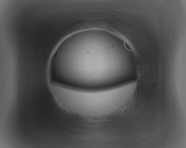X0000101461532200807071121