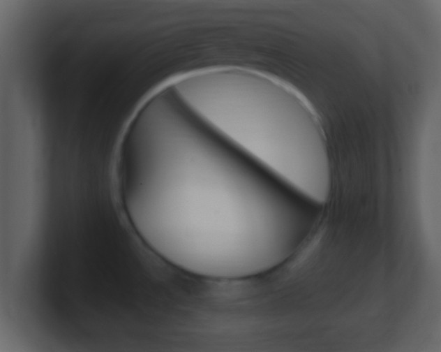 X0000101461534200807071121