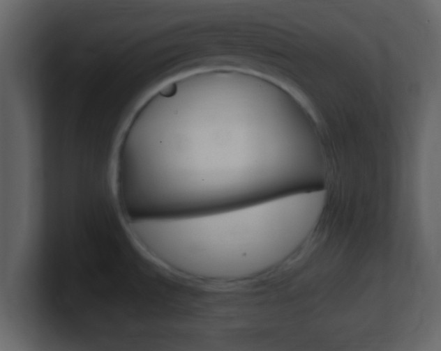 X0000101461535200807071121
