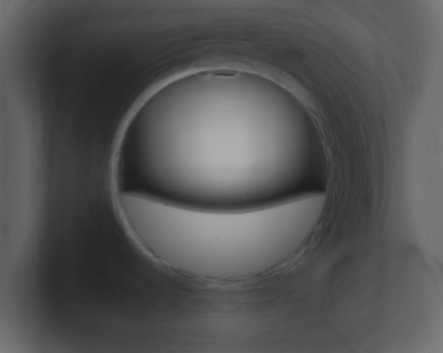 X0000101461536200807071121