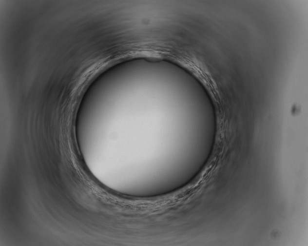 X0000101460001200807071442
