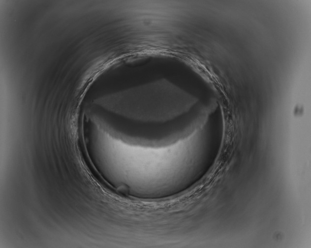 X0000101460002200807071442