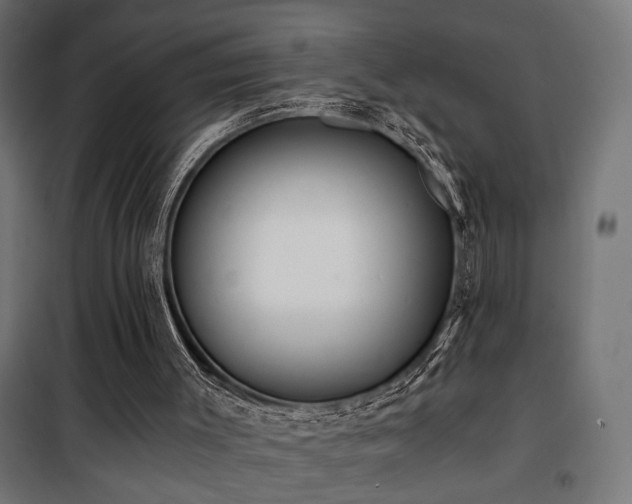 X0000101460003200807071442