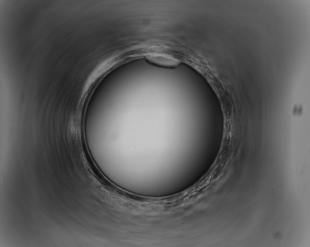 X0000101460004200807071442