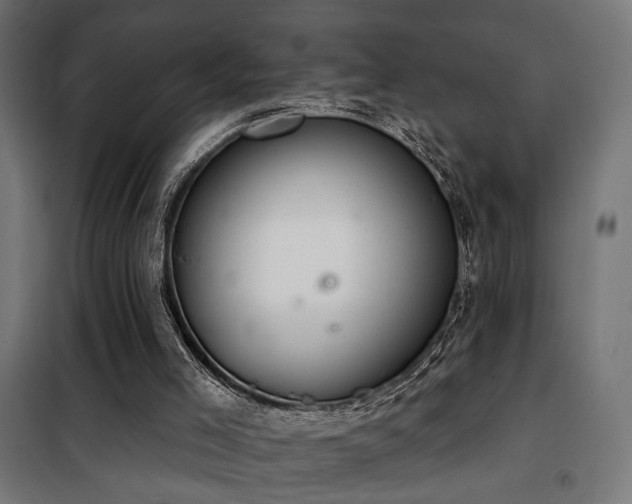 X0000101460005200807071442