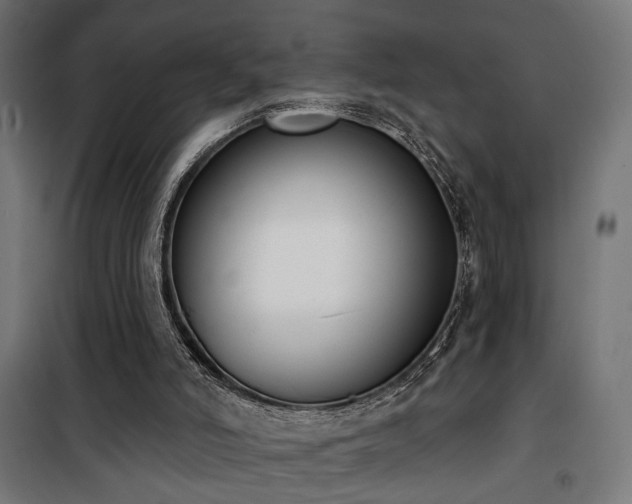 X0000101460006200807071442
