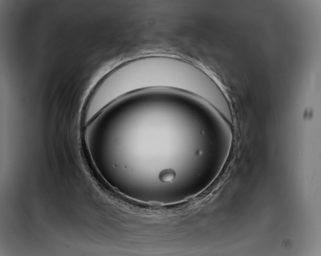 X0000101460008200807071441