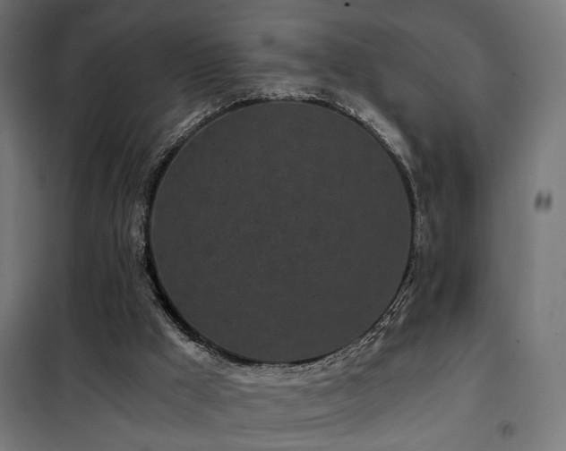 X0000101460009200807071441