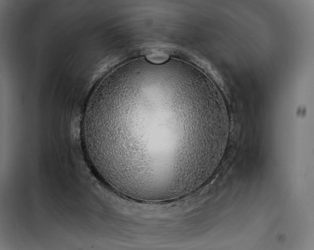 X0000101460010200807071441