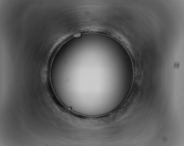 X0000101460012200807071441