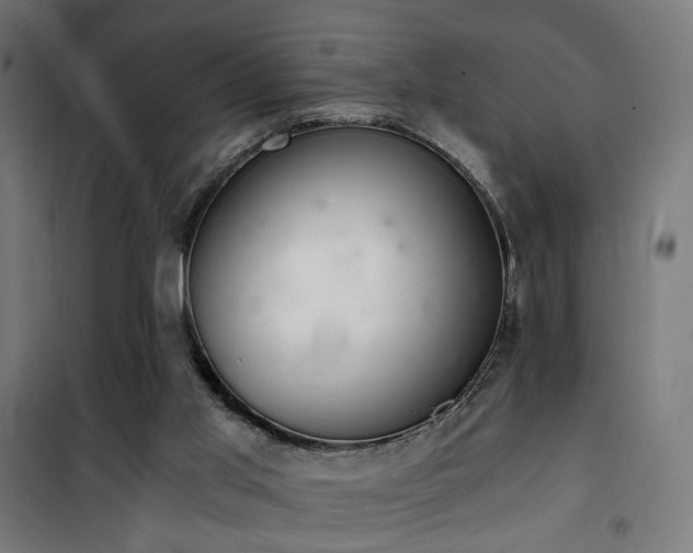 X0000101460013200807071441