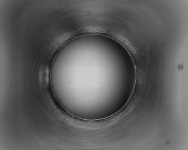 X0000101460014200807071441