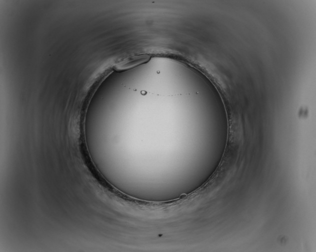 X0000101460015200807071441