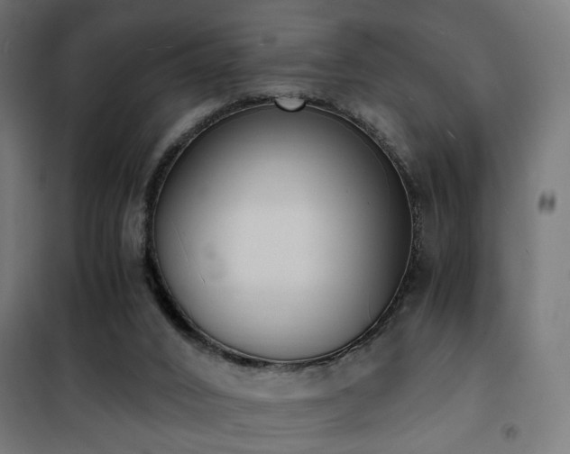X0000101460016200807071441
