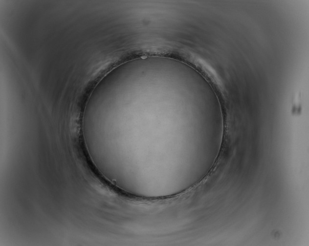 X0000101460017200807071441