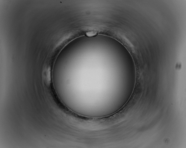 X0000101460020200807071441