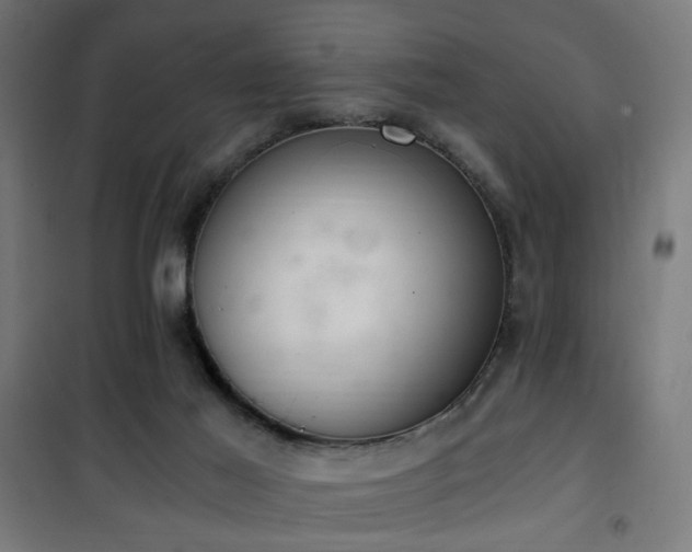 X0000101460021200807071441