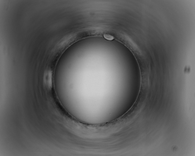 X0000101460022200807071441