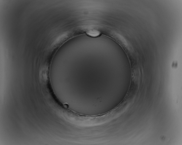 X0000101460023200807071441