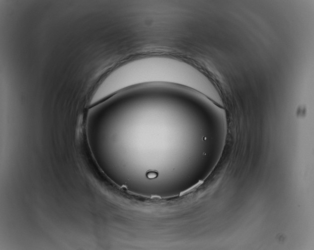 X0000101460024200807071441