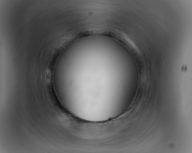 X0000101460025200807071441