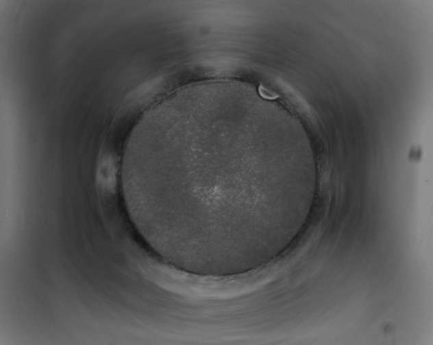 X0000101460026200807071441