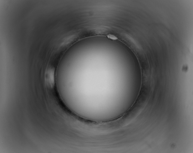 X0000101460028200807071441