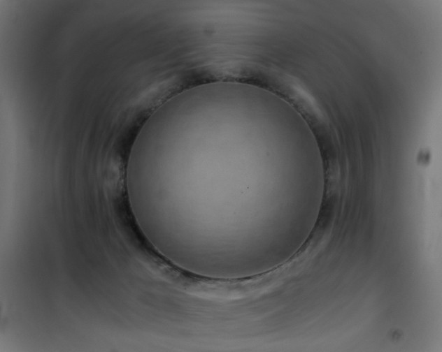 X0000101460029200807071441