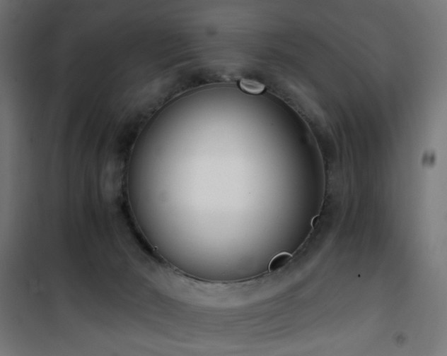 X0000101460030200807071441