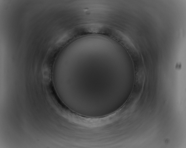 X0000101460031200807071441