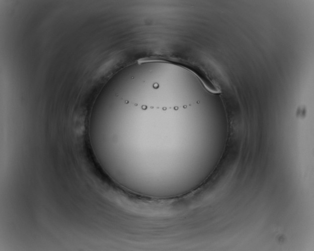 X0000101460032200807071441