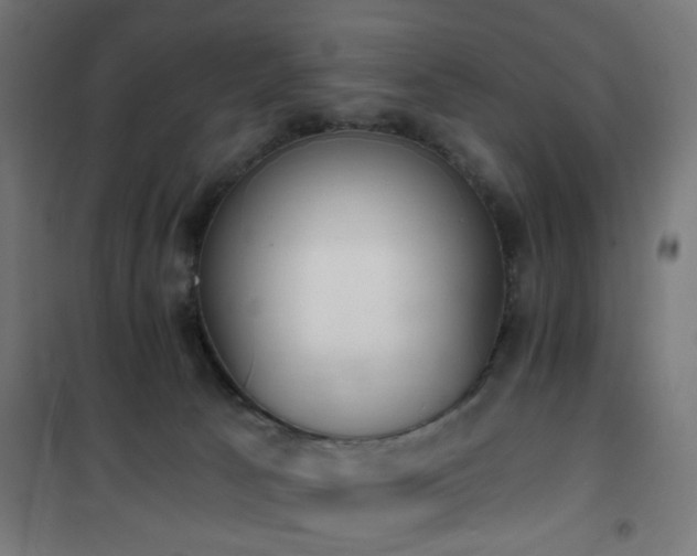 X0000101460033200807071441