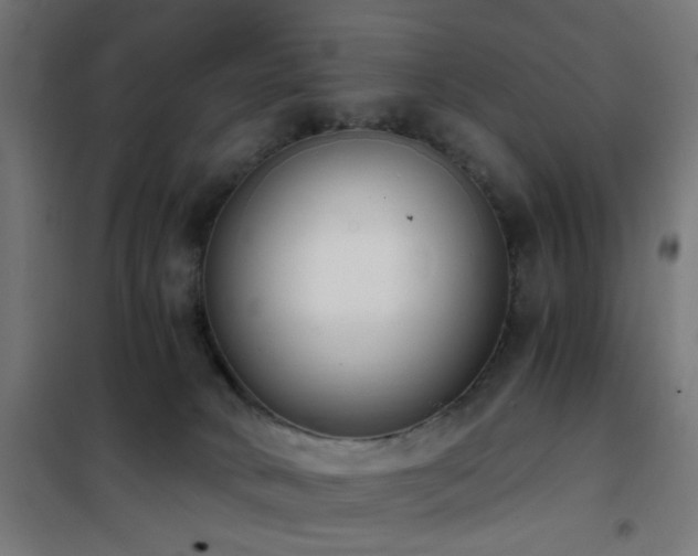 X0000101460034200807071441