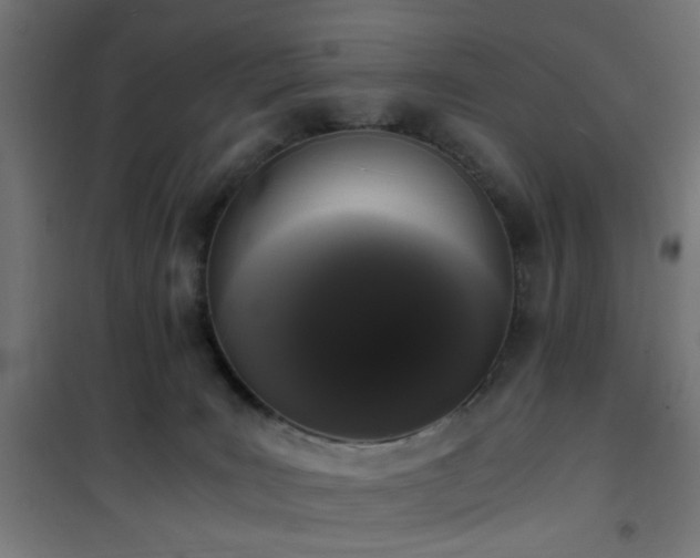 X0000101460035200807071441
