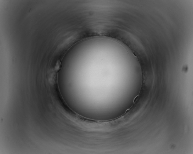 X0000101460036200807071441