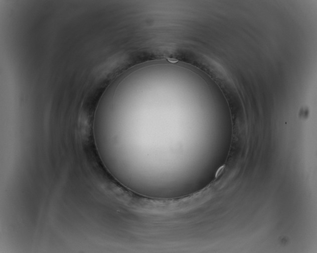 X0000101460037200807071441