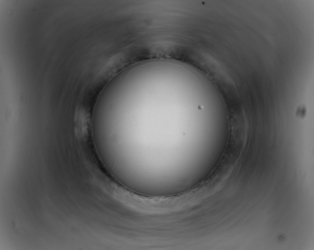 X0000101460038200807071441