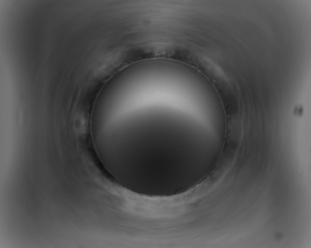 X0000101460039200807071441
