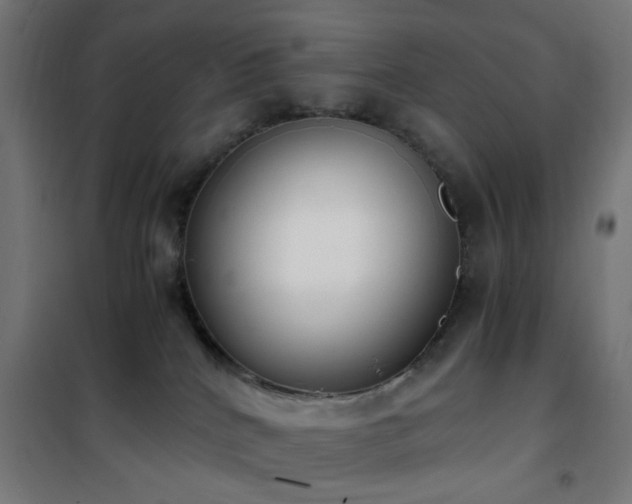 X0000101460040200807071441